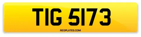 TIG 5173