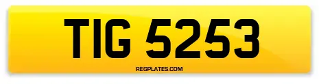 TIG 5253