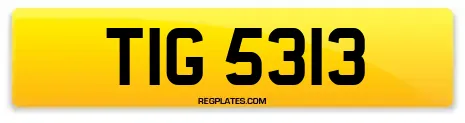 TIG 5313