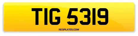 TIG 5319