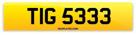 TIG 5333