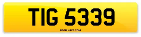 TIG 5339