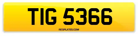 TIG 5366