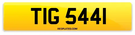 TIG 5441