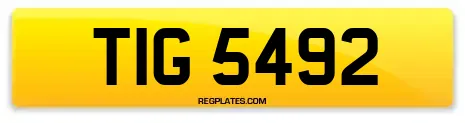 TIG 5492