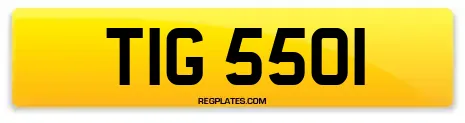 TIG 5501