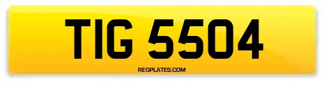 TIG 5504