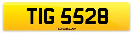 TIG 5528