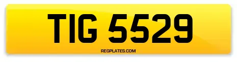 TIG 5529
