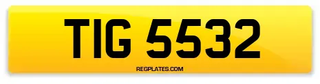 TIG 5532