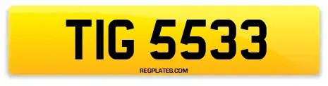 TIG 5533