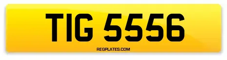 TIG 5556