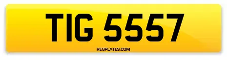 TIG 5557