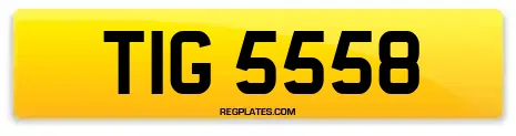TIG 5558