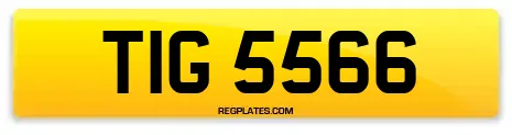 TIG 5566