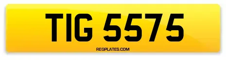 TIG 5575