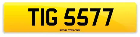 TIG 5577