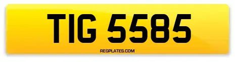 TIG 5585