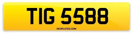 TIG 5588