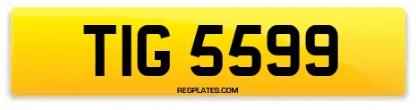 TIG 5599