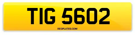 TIG 5602