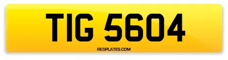 TIG 5604