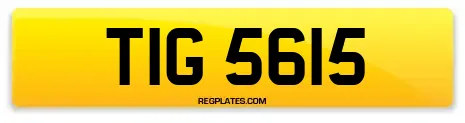 TIG 5615