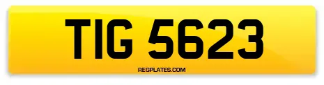 TIG 5623
