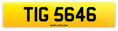 TIG 5646