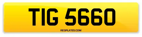 TIG 5660