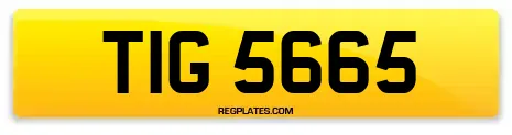 TIG 5665