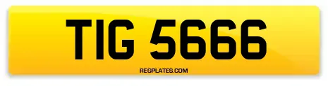 TIG 5666