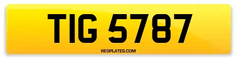 TIG 5787