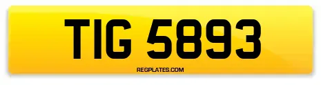 TIG 5893