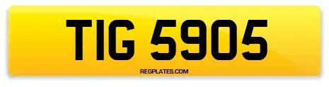 TIG 5905