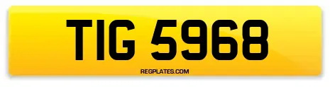 TIG 5968