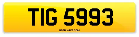 TIG 5993