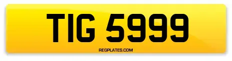 TIG 5999