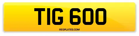 TIG 600