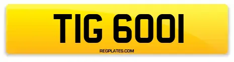 TIG 6001