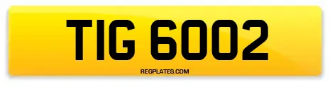 TIG 6002