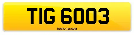 TIG 6003