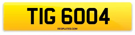 TIG 6004