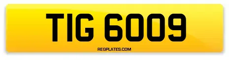 TIG 6009