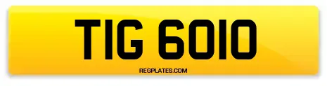 TIG 6010