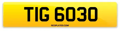 TIG 6030