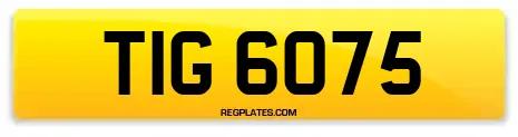 TIG 6075