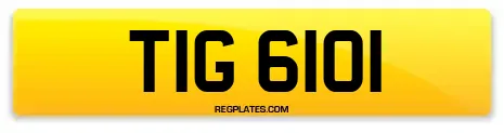 TIG 6101