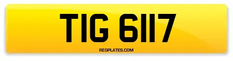 TIG 6117