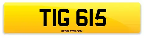 TIG 615